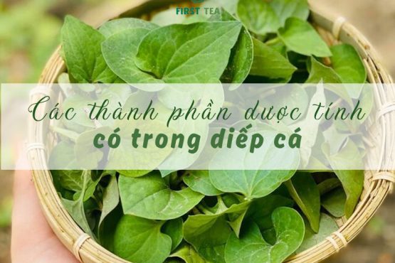 Khám phá các thành phần dược tính có trong diếp cá